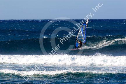 Windsurfing in the pacific ocean off the island of Maui, Hawaii.