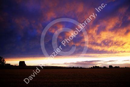 Farmland in Canyon County Idaho at sunset.