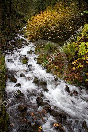 Wahkeena Falls and mountain stream with scenic fall colors in the Columbia Gorge, Oregon.
