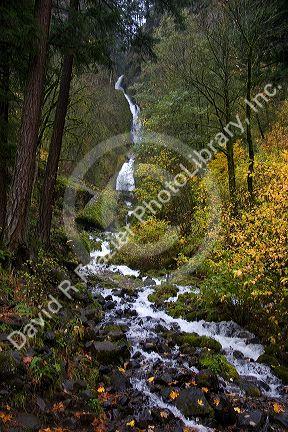 Wahkeena Falls and mountain stream with scenic fall colors in the Columbia Gorge, Oregon.