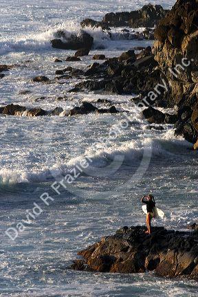 Female surfer stands on the rocky shore viewing waves in the pacific ocean from the island of Maui, Hawaii.