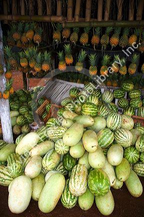 Watermelons and pineapple at a produce stand in rural Argentina.