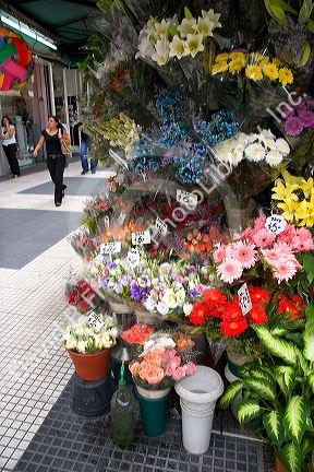 Flower vendor display and street scene in Buenos Aires, Argentina.