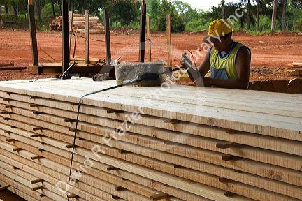 Worker banding lumber for drying at a lumber mill in Argentina.
