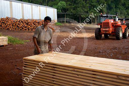 Worker sorting lumber at a lumber mill in Argentina.