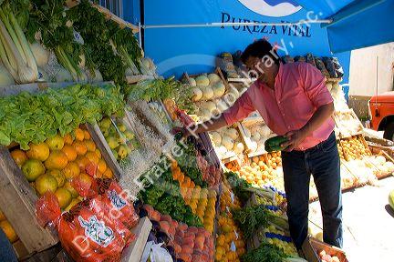 Merchant arranges artistic display of fruit and vegetables at a stand in Gesell, Argentina.