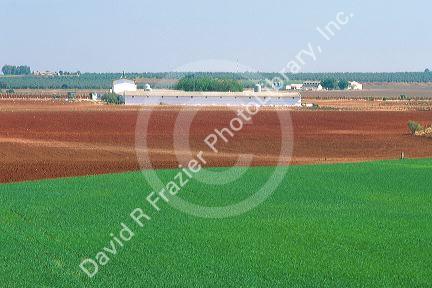 Farmland in South Central Spain.  Spring grain is green with freshly tilled land awaiting planting.