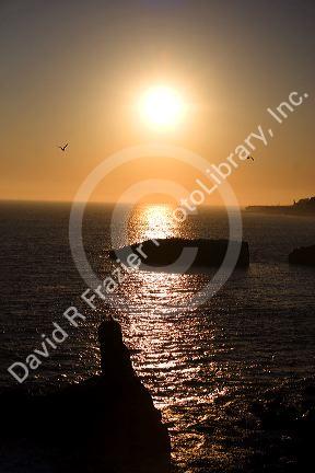 Sunset on the pacific ocean at Santa Cruz, California.