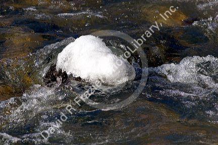 Winter scene along Grimes Creek in Boise County Idaho.