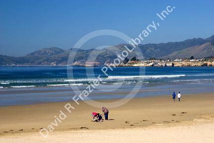 People digging for clams in the sand at Pismo Beach, California.
