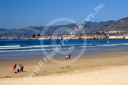 People digging for clams in the sand at Pismo Beach, California.