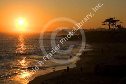 People and dogs on the beach at sunset in Santa Cruz, California.
