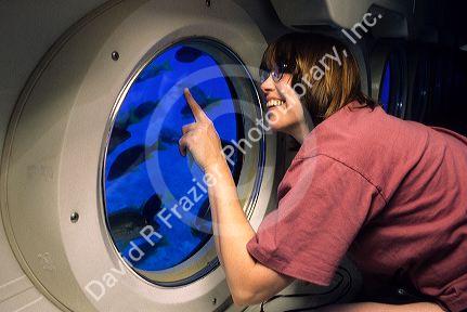Underwater views from the submarine Atlantis Tours in Lahaina, Maui, Hawaii.