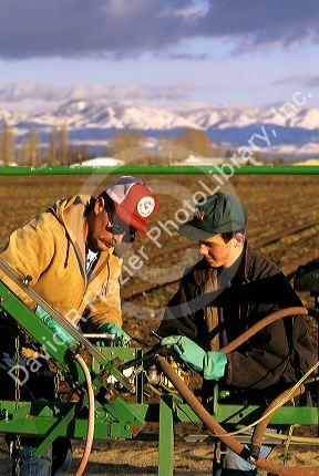 Idaho farmer and son working on machinery. MR