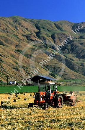 Oat hay harvest in Idaho.