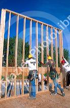 Carpenters lifting stud-wall into place.