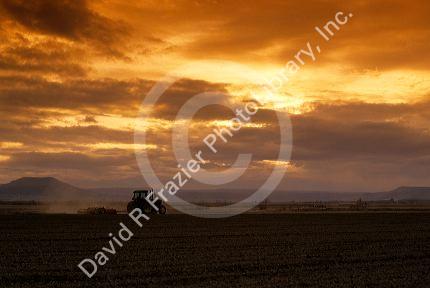 A tractor spring tilling a field in Canyon County, Idaho.