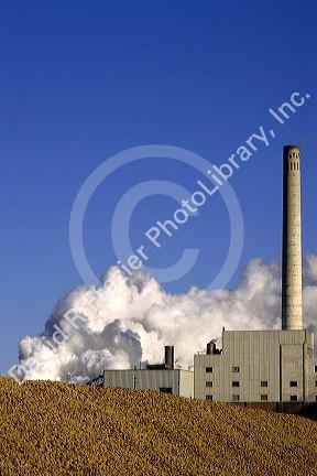 A stockpile of sugar beets at a factory in Nampa, Idaho.