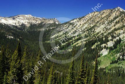 Frank Church River of No Return Wilderness area from Profile Summit, Idaho.