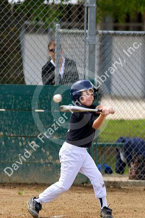 Little League Baseball game in San Jose, California.