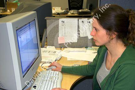 Office worker using a computer. MR