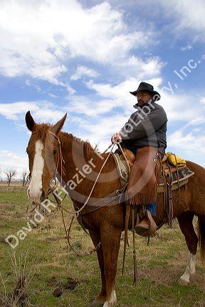 A cowboy on horseback in Idaho.