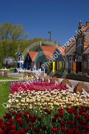 Windmill Island park with tulips in bloom at Holland, Michigan.