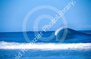 Surfing the curl of a wave in Hawaii.