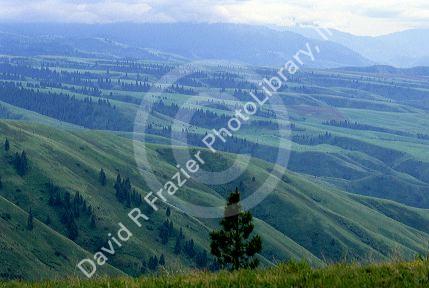 A view of White bird Hill in the Nez Perce National Historical Park. Palouse country in North Idaho.