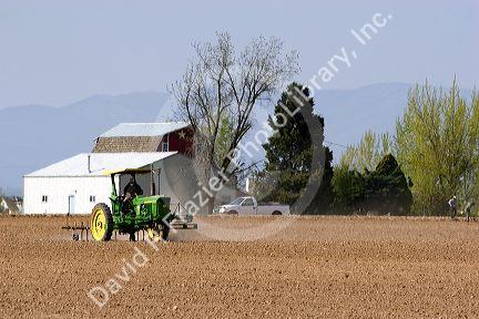 A tractor spring tilling a crop in Canyon County, Idaho.