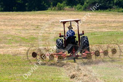 A young boy driving a tractor harvesting Timothy Hay near Conway, Arkansas.