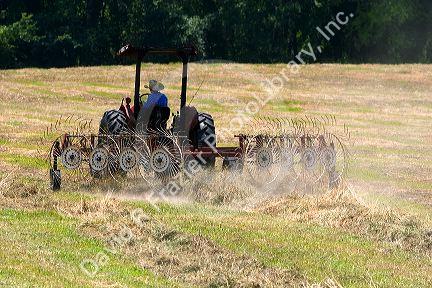 A young boy driving a tractor harvesting Timothy Hay near Conway, Arkansas.