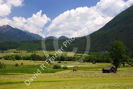 A tractor harvesting a hay field on a farm at Imst, Austria.