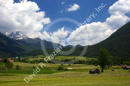 A tractor harvesting a hay field on a farm at Imst, Austria.