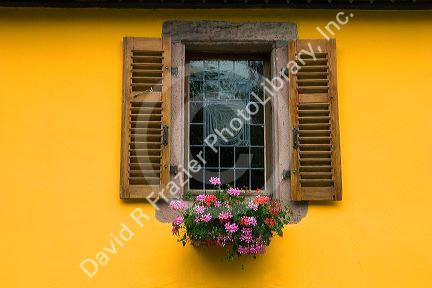 Shuttered window with etched glass and flower box at Thannenkirch, France.