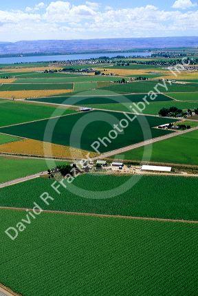 Aerial view of farmland in Canyon County, Idaho.