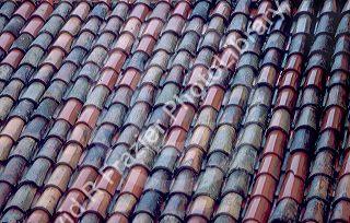Tile roof in the rain at Ravenna, Italy.