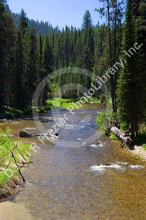 South Fork of the Salmon River near Yellow Pine, Idaho.