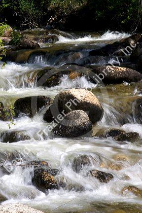 Small tributary stream along the South Fork of the Salmon River near Yellow Pine, Idaho.