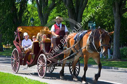 Horse and carriage at Quebec City, Quebec, Canada.