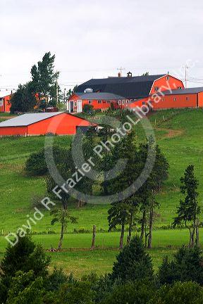 Farm and red barn on a hill at New Glasgow, Prince Edward Island, Canada.