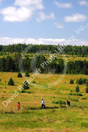 Hikers on a trail at Ft. Amherst near Charlottetown on Prince Edward Island, Canada.