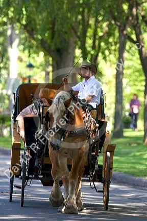 Horse and carriage at Quebec City, Quebec, Canada.
