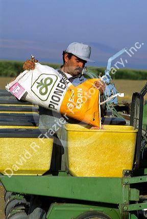 A farmer filling planter with corn seed.