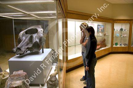 Students look at displays of rocks and fossils in the McDonnel Center for Earth and Planetary Science at Washington University, St. Louis, Missouri.