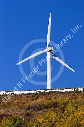 Windmill electricity generators near Arlington, Wyoming.