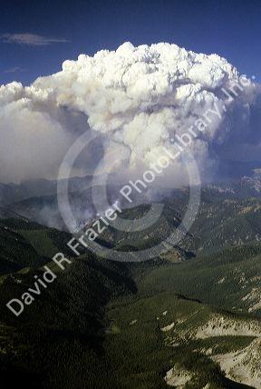 A plume of smoke from the Mortar Creek forest fire in a primative area of Idaho.