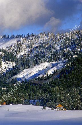 A snowy winter scene in the mountains of Central Idaho.