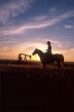 Silhouette of a cowboy on his horse with an oil well in the background at sunset in North Dakota.
