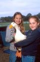 Young girls holding a pet duck. MR